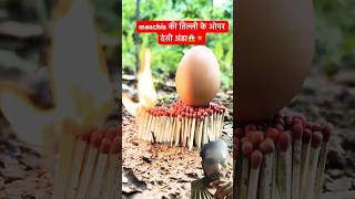 माचिस के तिली के ऊपर Banaya Anda🥚😱#shorts #satisfying #mukbang #food #egg #funny #camping #story