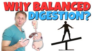 The Importance of Balancing Both Sides of Digestion