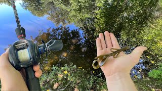 Early Summer Bass Fishing With Green Pumpkin Brush Hog!