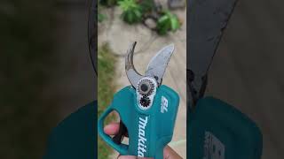 Makita Pruning Share UP100D #makita #tools #diy #trending #trendingshorts #shorts