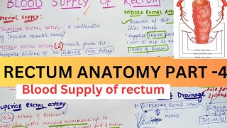 RECTUM ANATOMY PART 4|| Blood Supply AND Venous drainage | Suyash Shukla