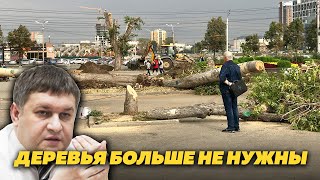 Убийцы деревьев, которых мы выбрали