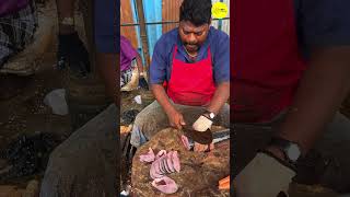 KASIMEDU SPEED SELVAM SEER FISH CUTTING VIDEO / cutting focus #kasimeduselvam #bigfishcutting