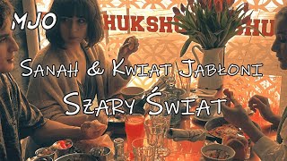 Sanah i Kwiat Jabłoni „Szary świat” (MJO Remix)