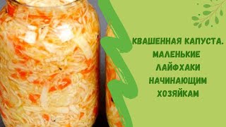 Квашенная капуста. Маленькие  лайфхаки  начинающим хозяйкам