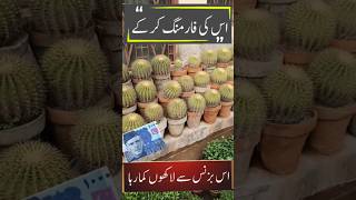 Cactus farming business in pakistan kr ky money earning