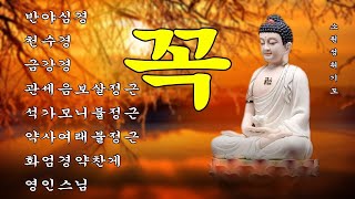 매일 들어라 소원이 실현되는 건강 과 돈 행운 🙏 반야심경,천수경,금강경,관세음보살정근,석가모니불정근,약사여래불정근,화엄경약찬게,영인스님