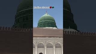 Hara gumbad to dekhoge…#shortvideo #shorts #trending #youtubeshorts #youtube #short #shortsfeed #ksa