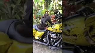 CHIMPANCÉ RIDING HER HARLEY DAVIDSON BANANA TIK TOK# shorts