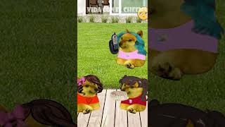 Madre con derecho quiere ROB4R mi fiesta PARA SU HIJA | Hilos con cheems  #historias #cheems #doge