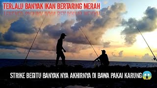 BAGAIMANA BISA MEREKAM SEMUA,JIKA STRIKE NYA BEGITU BANYAK !! IKAN BERTARING MERAH MENDOMINASI 😱