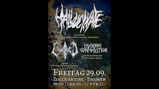 Phantom Corporation-"Border Wars" 29.9.2023 at Zollkantine Bremen