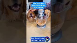 Encuentre rápida y fácilmente deliciosas recetas en nuestro curso😋🐕🥳🧑‍🍳#recetasfaciles  #comida