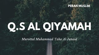 Muhammad Taha Al Junaid - Q.S Al Qiyamah | Murottal Anak merdu