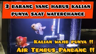 3 Barang yang harus kalian punya saat waterchange | Kalian Harus Tau !! Air Tembus Pandang