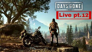 Days Gone. Live pt. 12