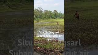 Situ Sindangsari #subang