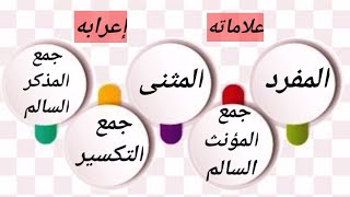 المفرد.المثنى.جمع المذكر السالم.جمع المؤنث السالم.جمع التكسير(علاماته/إعرابه)ابتدائي_متوسط