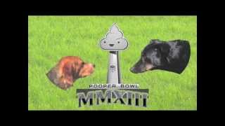 PooperBowl