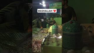 Mashallah kitna khubsurat hai ❤️ #trending #shorts #video #11vishareef #mashallah #viral #video