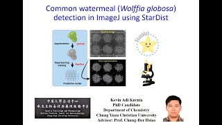 StarDist SOP for duckweed counting