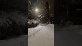 Beautiful Night Snowfall in Ylöjärvi, Finland 🇫🇮 ❄️