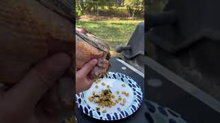 Harvesting a Pheasant Diet #tiktok #animal #pheasants #food