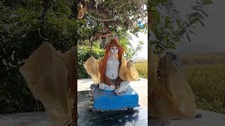 Ateswar Shiv Mandir | Goanara Gobindapur | Shiv Mandir Near Raichak