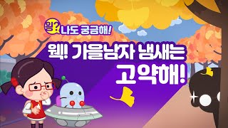 13화 🍂흔들리는 나무들 속에서 네 은행향이 느껴진거야🤢 l 어린이과학 l 은행나무 l 은행냄새