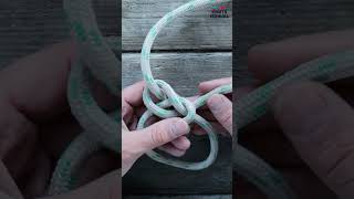 Use a Bowline With a Yosemite Finish to Tie Into a Climbing harness #shorts #knots #climbingknots