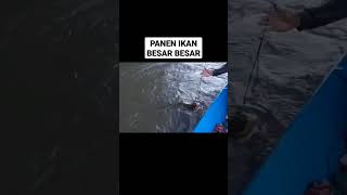 Nelayan mancing ikan besar