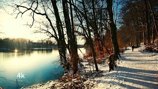 Beautiful Snow-Covered Sunny Winter Day Walk in germany,Winter walking tour in the snow ❄️