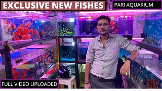 Pari Aquarium /Fish Shop /Kurla Fish Market / Shop trailer /Discuss Fish  /Parrot Fish /Arowana