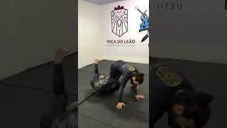 False Reap partindo para a leg lock  #bjj #jiujitsu #tocadoleão #nogi #falsereap