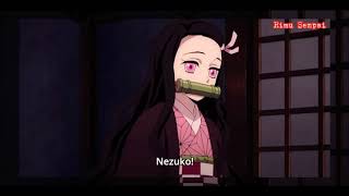 6 MINS NEZUKO BEING ADORABLE