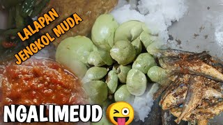 NGALIMEUD‼️ MUKBANG SEDERHANA LALAPAN JENGKOL MUDA IKAN ASIN BIKIN NAMBAH TERUS..