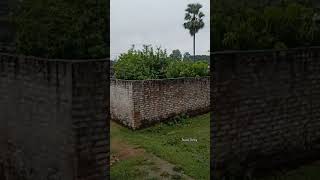 Rain 🌧️🌧️View In My Village 🏘️🏘️ #newvideo#bhagalpurcity r#clouds#bhagalpurdistrict #bihar #travel