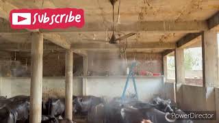 Netafim Fogger System For Dairy Farmers कैसे और कहाँ से ख़रीदे पुरी जानकारी