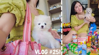 Vlog #251- Follow Up Check ni Peanut + 20K Grocery Haul