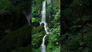 The Yeshi Gogo waterfall, a hidden gem of Shergaon. #Shergaon #ArunachalPradesh