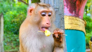 Lovely! Moka Sit down to eat ice cream and make face very funny