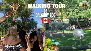 Walking Tour of Calgary Zoo Part 2 | Relaxing Adventure | My Comfort Diary | Calgary Canada