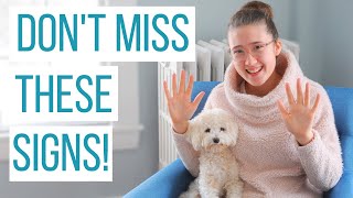 10 Signs Your Dog Needs to Go Out | House Train Your Puppy Faster!