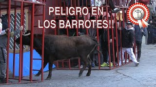 PELIGRO EN LOS BARROTES!! 😦 Autol (5-2-23)