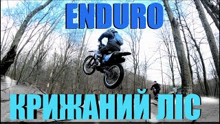 ENDURO Крижаний ЛІС