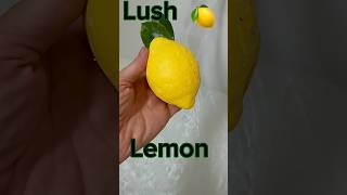 LUSH 🍋 Take a bath with Lemon 🍋 🍋🍋 #lush #bathbomb