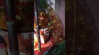 Tulsi Vivah#shorts#video#viral#status#trending#radhekrishna