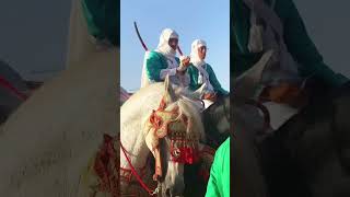 أصغر مقدم سربة ف أزيلال بني عياط 🦁🐴🇲🇦#ركوب_العز #خيل #تبوريدة