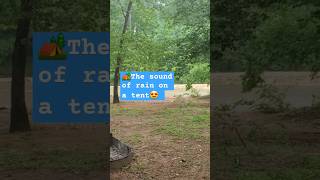 🏕Rain at the campsite! #camping #nature #rainsounds #rainontent #relaxing #tentcamping