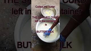 What is #buttermilk #Misconceptions clarified  #what is the #difference between #ButterAndGhee